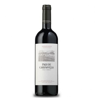 VI ORBUS NEGRE 2015