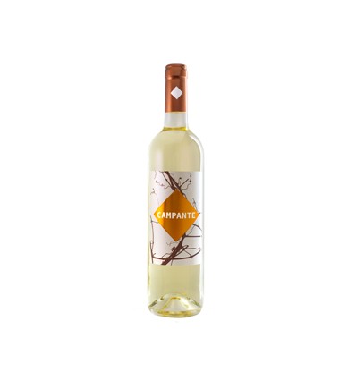 VI RIBEIRO CAMPANTE BLANC
