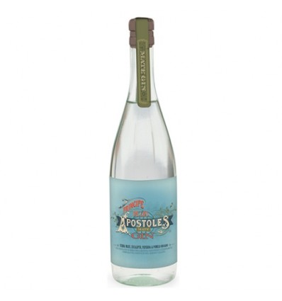 GIN PRÍNCIPE DE LOS APOSTOLES
