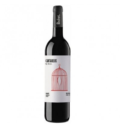VI BOLET NEGRE CANTARELUS ECO LLEBRE
