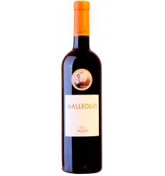 VI EMILIO MORO MALLEOLUS NEGRE