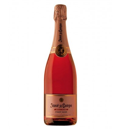 CAVA JUVE CAMPS ROSE BRUT PINOT NOIR 75CL