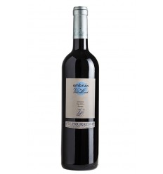 VI EMBRUIX NEGRE MAGNUM 