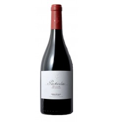 VI PARTICULAR GARNACHA CENTENARIA MAGNUM NEGRE