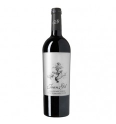 VI ENVIDIA COCHINA BLANC MAGNUM 