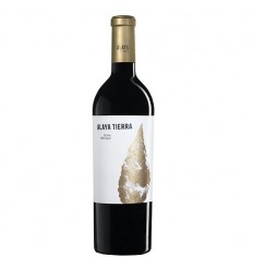 VI ALAYA TIERRA
