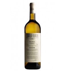 VI TERRAS GAUDA ALBARIÑO BLANC