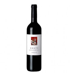 VI ENATE CAB MERLOT JOVE NEGRE