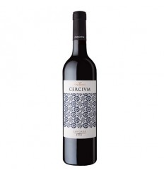 VI CERCIUM NEGRE