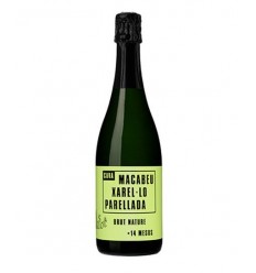 CAVA CASA MARIOL BRUT NATURE 14 MESOS