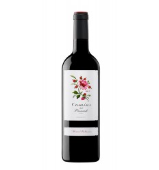 VI CAMINS DEL PRIORAT NEGRE