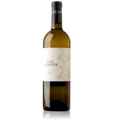 VI JOSE PARIENTE SAUVIGNON BLANC