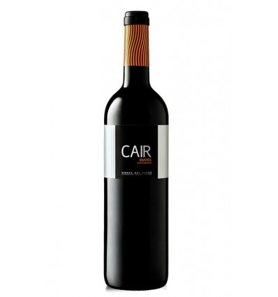 VI DOMINIO DE CAIR CUVEE NEGRE