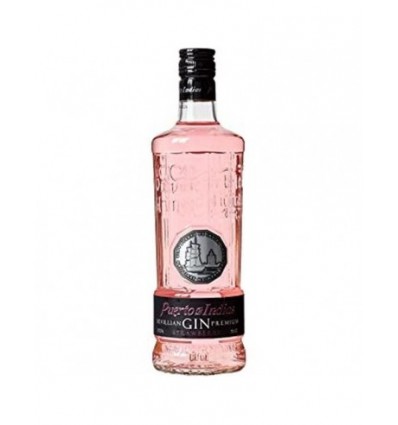 GIN PUERTO DE INDIAS STRAB. FRESA LITRO