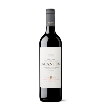 VI ACANTUS TINTO