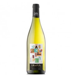 VI GRAPUS CHARDONNAY FERMENTACIO BARRICA