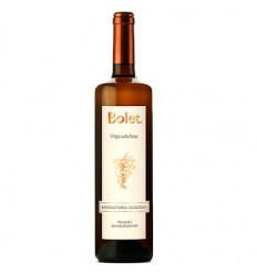 VI BOLET VINYA SOTA BOSC BLANC ECOLOGIC