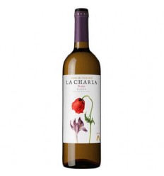 VI LA CHARLA BLANC