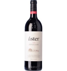 VI ASTER NEGRE CZA.