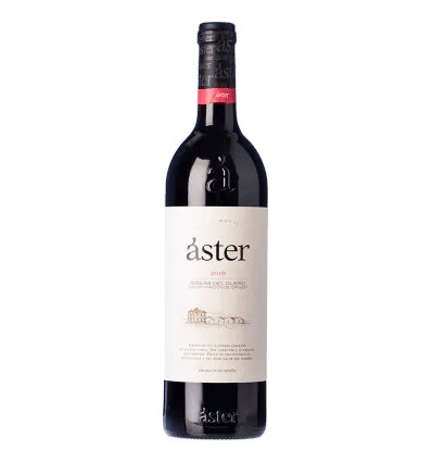 VI ASTER NEGRE CZA.