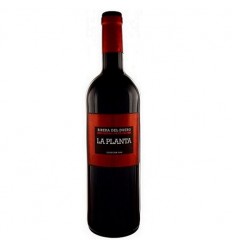 VI LA PLANTA NEGRE ARZUAGA ROBLE
