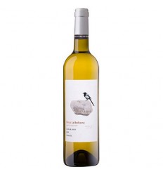 VI FINCA BOLTANA XAREL LO VINYES VELLES BLANC