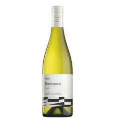 VI MONTENOVO GODELLO VALDESIL BLANC