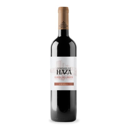 VI CONDADO DE HAZA NEGRE CRIANÇA