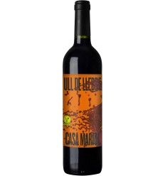 VI CASA MARIOL ULL DE LLEBRE CRIANÇA