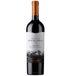 VI CASTILLO DE MOLINA RESERVA CARMENERE 