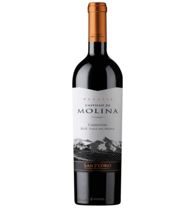 VI CASTILLO DE MOLINA RESERVA CARMENERE 