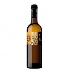 VI AÑARES TERRANOVA VERDEJO