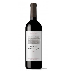 VI PAGO DE CARRAOVEJAS NEGRE